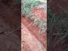 0.6 ton 0,8 ton mini-crawler graafmachine kleine micro-graafmachine