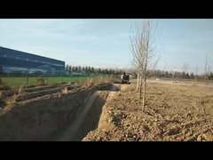 6 ton 6,5 ton 8 ton graafmachine